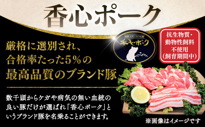【香心ポーク】焼肉用厚切り、しゃぶしゃぶ用薄切りのセット(計約1.3kg)【有限会社コーシン】 [BHAH008]