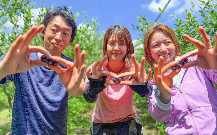 【大粒】国産 急速冷凍ブルーベリー 計約1kg（約500g×2袋） 大粒 果物 くだもの フルーツ ぶるーべりー 熊本県 菊陽町【アグファーム株式会社】 [BHCX002]