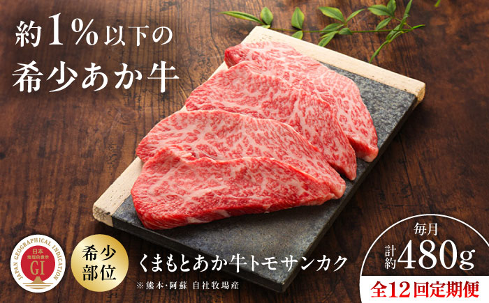 【全12回定期便】【GI認証】くまもとあか牛トモサンカク 約120g×4枚 / 菊陽町 あかうし 熊本県 肉 にく niku ブランド 旨み 【有限会社 三協畜産】 [BHAS080]