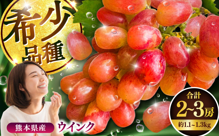 【限定数量】【10月下旬発送開始】ウインク 約1.1kg〜1.3kg 合計2〜3房【りとる農房】 [BHBO004]