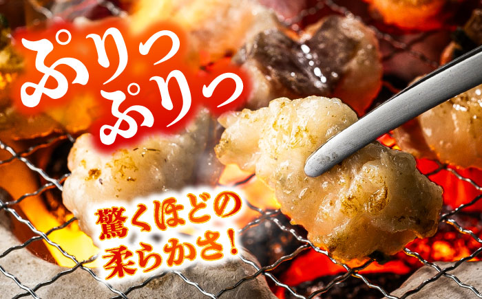 あか牛 白 ホルモン 約500g (約250g×2P) / 牛肉 褐毛和種 ホルモン 肉 九州産 国産牛 熊本県産 小分け あかうし 鍋 焼肉【五右衛門フーズ】 [BHCY009]