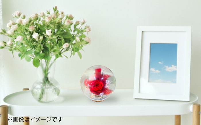 プリザーブドフラワー　ガラスドーム (赤) / 花 プレゼント 贈答用 ガラス 母の日 父の日 入学式 卒業式 菊陽町 熊本県【株式会社 美向】 [BHDC004]