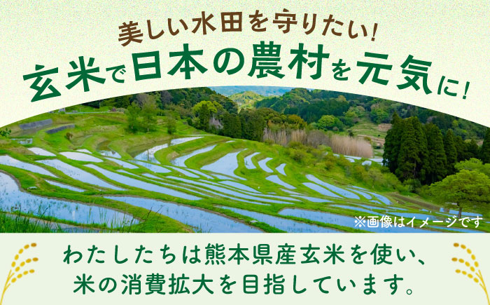 玄米パスタ フジッリ20袋セット / 玄米 パスタ 特産品 熊本【株式会社熊本玄米研究所】 [BHAF043]