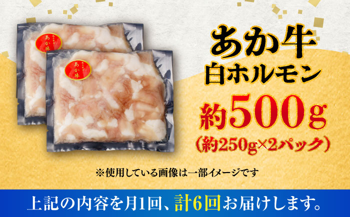 【全6回定期便】あか牛 白 ホルモン 約500g (約250g×2P) / 牛肉 褐毛和種 ホルモン 肉 九州産 国産牛 熊本県産 小分け あかうし 鍋 焼肉【五右衛門フーズ】 [BHCY011]