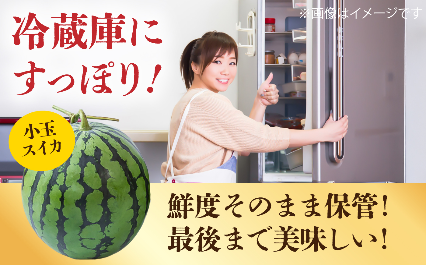 肥後グリーンメロン 小玉スイカ 各1玉（計2玉）/ メロン 西瓜 すいか フルーツ 果物 旬 熊本県 菊陽町【古閑農園】 [BHDJ003]