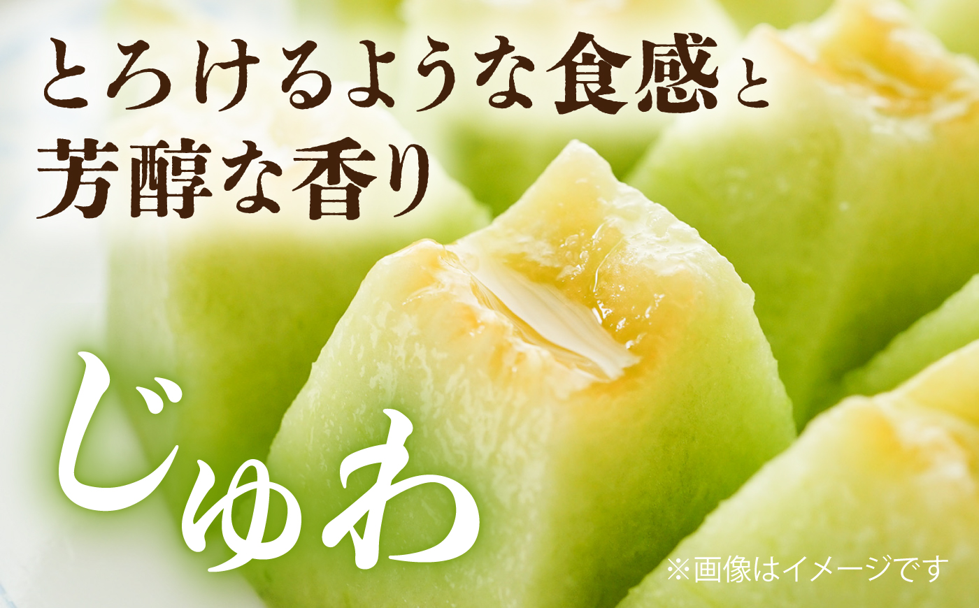 肥後グリーンメロン 小玉スイカ 各1玉（計2玉）/ メロン 西瓜 すいか フルーツ 果物 旬 熊本県 菊陽町【古閑農園】 [BHDJ003]