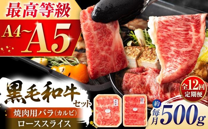 【全12回定期便】くまもと黒毛和牛「藤彩牛」2種の食べ比べ計500g 3900【株式会社フジチク】 [BHAD038]