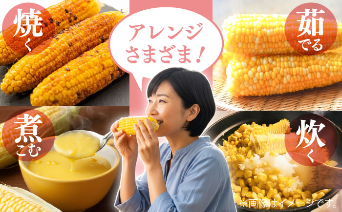 【先行予約】【2026年5月下旬より順次発送】スイートコーン(ドルチェドリーム)約4kg【なかむら農園】 [BHCJ002]