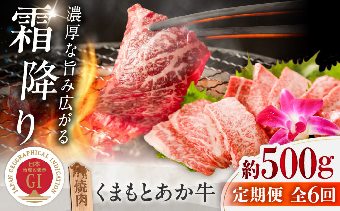 【全6回定期便】GI認証 くまもとあか牛 焼肉 約500g 計約3kg / 霜降り 高品質 あか牛 牛肉 熊本県 菊陽町【菊陽町(阿蘇牧場)】 [BHAZ027]