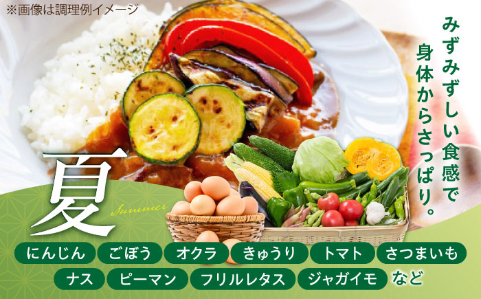 【全3回定期便】新鮮たまごと旬の野菜セット(野菜7~8品程度＋40個) / たまご 生卵 タマゴ 詰合せ セット 熊本県 特産品【有限会社さんふれあ】 [BHAK009]