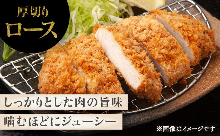 【香心ポーク】 とんかつ食べ比べ(計約1.2kg)【有限会社コーシン】 [BHAH012]