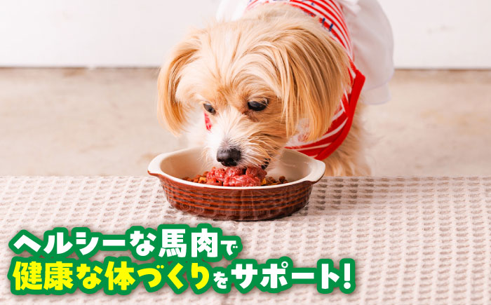 【全3回定期便】国内加工 ペット用 馬肉 切り落とし 約2kg(約1kg×2) / ペットフード ドッグフード 愛犬 馬肉 生食 加熱 ペット用 【五右衛門フーズ】 [BHCY058]