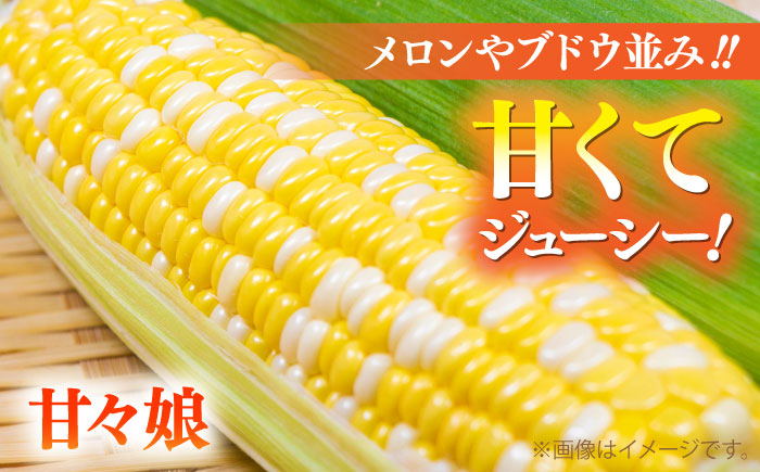 スイートコーン、ドルチェドリームと甘々娘の食べ比べセット【なかむら農園】 [BHCJ003]