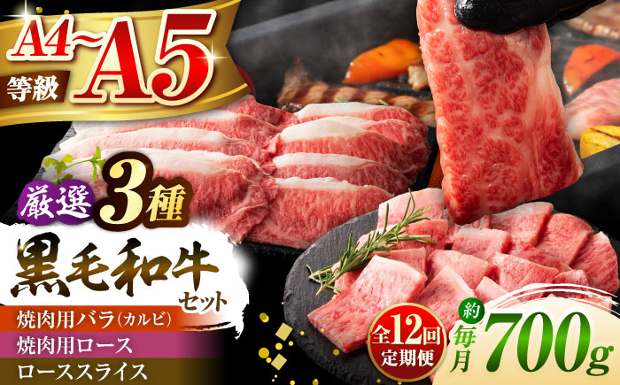 【全12回定期便】くまもと黒毛和牛「藤彩牛」厳選3種の食べ比べ計700g 3902【株式会社フジチク】 [BHAD044]