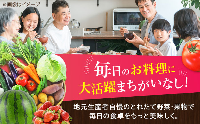 【全3回定期便】菊陽町特産品 「野菜・果物などの詰め合わせ」　 / 新鮮 詰合せ フルーツ セット 旬 おまかせ にんじん 直売所 やさい くだもの 熊本県 特産品 菊陽町【有限会社さんふれあ】 [BHAK007]