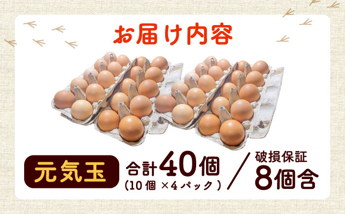 平飼い新鮮たまご 元気玉 計40個(10個×4パック) / 卵 ぷりぷり 新鮮 玉子 オムレツ たまごかけごはん 朝食 鶏卵 タンパク質 平飼い 濃厚 こく 熊本県 菊陽町【ぴよっこファーム】 [BHAP002]