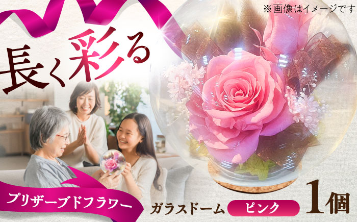 プリザーブドフラワー　ガラスドーム (ピンク) / 花 プレゼント 贈答用 ガラス 母の日 父の日 入学式 卒業式 菊陽町 熊本県【株式会社 美向】 [BHDC006]