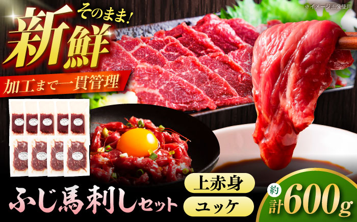 ふじ馬刺し 600g セット 3994 / 食べ比べ うま ばにく 冷凍 馬肉 赤身 熊本県 菊陽 九州 新鮮 お祝い 家族 親戚 集まり おもてなし 名物【株式会社フジチク】 [BHAD130]