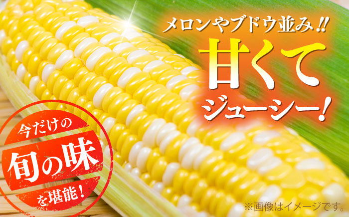 【先行予約】【2026年6月上旬より順次発送】スイートコーン(甘々娘) 約4kg（10〜11本）【なかむら農園】 [BHCJ001]