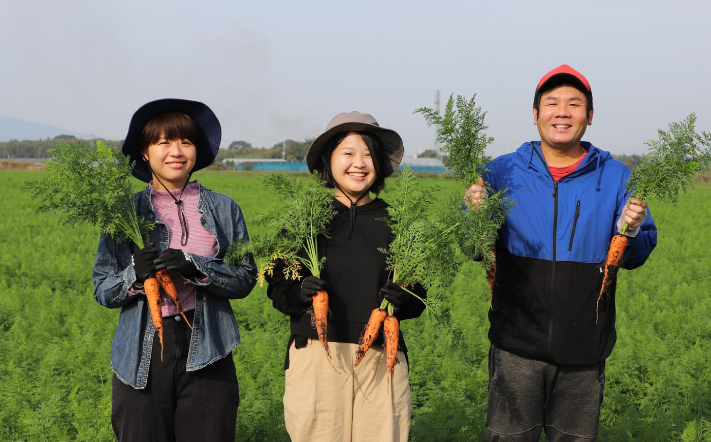 【先行予約】【2026年11月より順次発送】菊陽秋冬にんじん 秀品 約10kg / にんじん 菊陽にんじん 秋冬にんじん ニンジン 人参 野菜 熊本 菊陽 【さかもと農園】 [BHDL005]