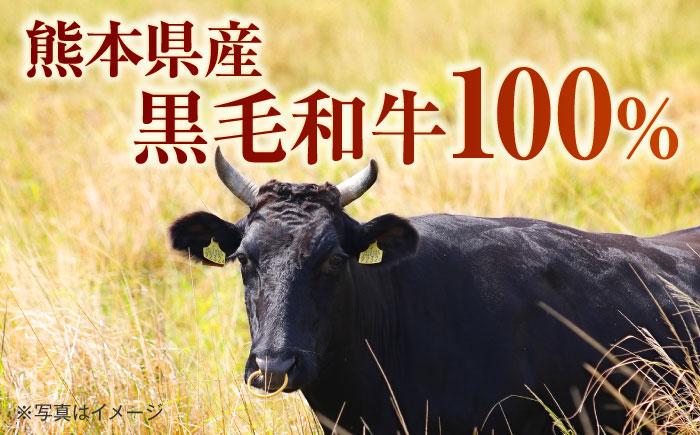 熊本県産 こだわり炒飯 大人の黒毛和牛炒飯 計2.3kg (230g×10) 【ユーユーフーズ株式会社】[BHCS003]