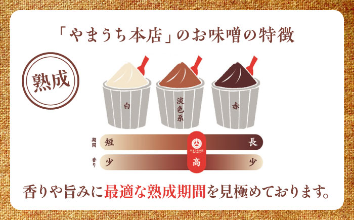 まぼろしの味噌セット みそ 合わせ味噌 麦味噌 調味料 熊本県 特産品【株式会社山内本店】 [BHAE001]