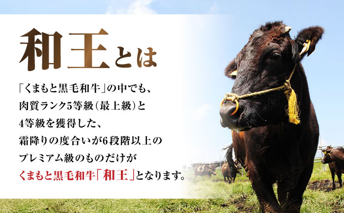 くまもと黒毛和牛 ｢和王｣ サーロインステーキ ・ ｢和王｣ ミスジステーキ 食べ比べセット 計約350g (各1枚) / 牛肉 和王 黒毛和牛 サーロイン ミスジ 熊本県 菊陽町 【菊池地域農業協同組合】 [BHBQ019]