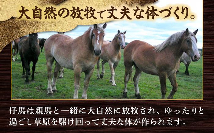 【全6回定期便】「フジチク」ユッケ2種の贅沢食べ比べセット【株式会社フジチク】 [BHAD114]