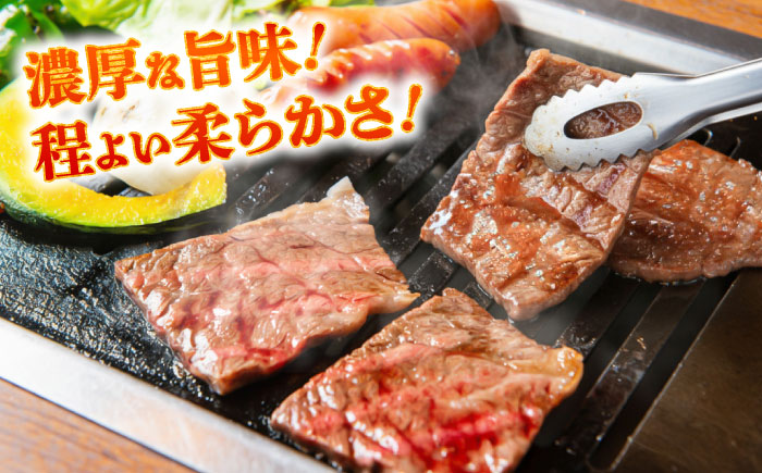熊本あか牛 焼肉用カット(バラ ロース) 約500g / 熊本県 あか牛 あかうし 和牛 焼肉 ロース バラ 牛肉 お肉 褐毛和種 冷凍 国産【五右衛門フーズ】 [BHCY045]