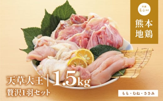 【ふるさと納税】天草大王 贅沢1羽 セット 計1.5kg 【配送不可地域：離島】あそ大王ファーム株式会社 《60日以内に出荷予定(土日祝除く)》熊本 産山 鶏 鶏肉 もも むね ささみ