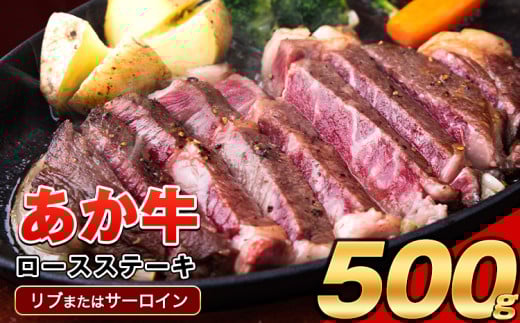 あか牛（褐毛和種）ロースステーキ (リブまたはサーロイン) 250g×2 500g 熊本県産 肉 和牛 牛肉 赤牛 あかうし リブロース サーロイン 冷凍 《2026年1月中旬-3月末頃出荷》送料無料