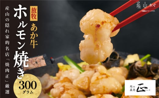 産山の隠れ家的名店「焼肉正」厳選「放牧あか牛 ホルモン焼き」セット《60日以内に出荷予定(土日祝除く)》