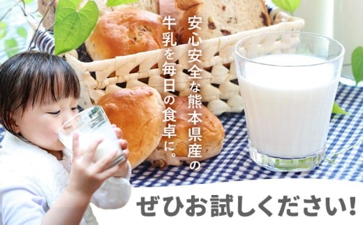 【12ヶ月定期便】牛乳 常温保存可能 成分無調整 生乳100％使用 大阿蘇牛乳 紙パック 250ml×24本 計288本 合同会社たべたせいか《申込月の翌月から出荷開始》熊本県 産山村 牛乳 乳飲料 乳性飲料 ドリンク 飲み物 飲料 セット ロングライフ 熊本県産