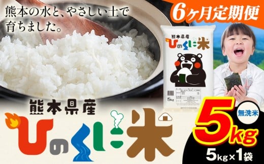 【6ヶ月定期便】 無洗米 ひのくに米 5kg 《お申込み翌月から出荷》 食品 米 こめ コメ 熊本県産 ふるさと納税 お米 おこめ 熊本
