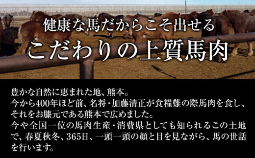 馬刺し1kg 赤身馬刺し900g＋霜降り馬刺し100g【純国産熊本肥育】 たっぷりタレ(5ml×10袋) 付き 桜肉 生食 冷凍《5月上旬-6月末頃出荷》送料無料 訳あり