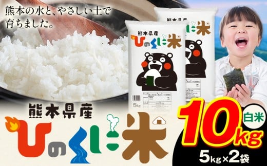 白米 ひのくに米 10kg 《7-14日以内に出荷予定(土日祝除く)》 食品 米 こめ コメ 熊本県産 ふるさと納税 お米 おこめ 熊本