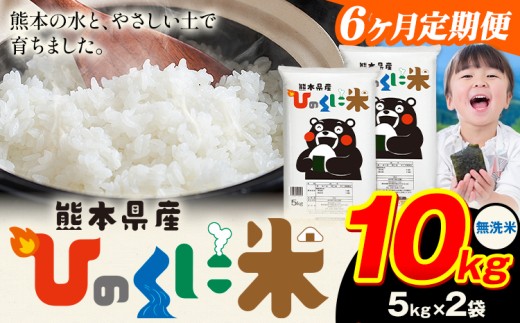 【6ヶ月定期便】 無洗米 ひのくに米 10kg 《お申込み翌月から出荷》 食品 米 こめ コメ 熊本県産 ふるさと納税 お米 おこめ 熊本