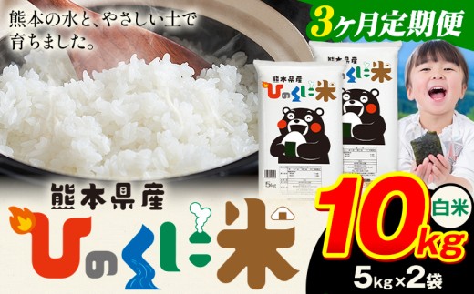 【3ヶ月定期便】 白米 ひのくに米 10kg 《お申込み翌月から出荷》 食品 米 こめ コメ 熊本県産 ふるさと納税 お米 おこめ 熊本