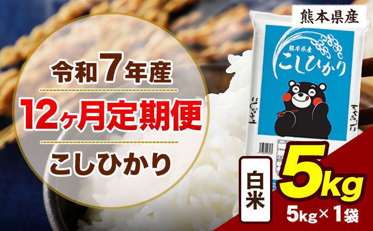 【12ヶ月定期便】令和7年産 定期便 こしひかり 5kg  白米 阿蘇 うぶやま 米 定期便 熊本県産 ふるさと納税 精米 ひの 米 こめ ふるさとのうぜい コシヒカリ コメ お米 おこめ《お申込み翌月から出荷》