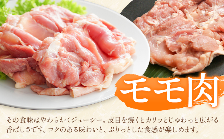 é¶è çæ¬ãã£ã¡ããé¶ ããè åã身 çŽ3kg 12è¢ æ ªåŒäŒç€Ÿä¹å·å
湯ããŒãºã30æ¥ä»¥å
ã«åºè·äºå®(忥ç¥é€ã)ãã¢ã¢è ã¢ã¢ é¶ã¢ã¢ ãã çæ¬ç ç£å±±æ