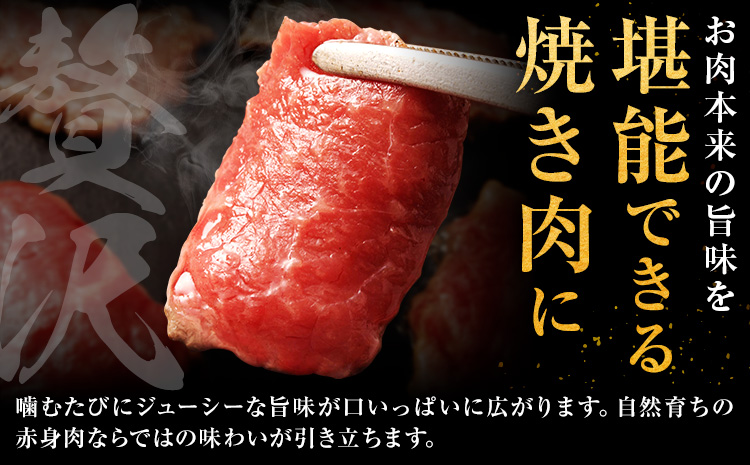çç£è
çŽéïŒGIèªèšŒ ããŸããšããç ããçŒãçš 500g ã» çŒãèçš 500g é£ã¹æ¯ã¹ã»ããå±±ã®éã60æ¥ä»¥å
ã«åºè·äºå®(忥ç¥é€ã)ãçæ¬ç ç£å±±æ BBQ çŒãè çŒè ããçŒã ããŸããšããç 赀身 åç çè ç åœç£ ããç èŽãç©ãé
éäžå¯å°åããã