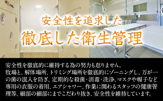 馬刺し1kg 赤身馬刺し900g＋霜降り馬刺し100g【純国産熊本肥育】 たっぷりタレ(5ml×10袋) 付き 桜肉 生食 冷凍《5月上旬-6月末頃出荷》送料無料 訳あり