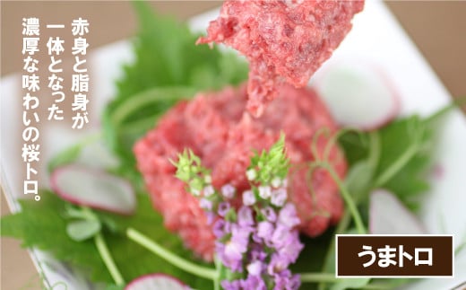 贅沢！生の食べ比べ〜牛・馬〜　あか牛ユッケ＆馬刺し　桜うまトロ付き　300g UBUYAMAPLACE 《30日以内に出荷予定(土日祝除く)》