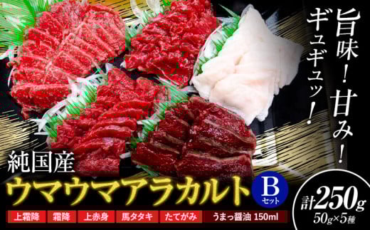 馬刺し 純国産 ウマウマ アラカルト Bセット（たてがみ） 専用醤油付き 50g ×5種 計250g 有限会社九州食肉産業《30日以内に出荷予定(土日祝除く)》熊本県 産山村 純国産 馬刺し 国産 熊本肥育 馬刺 馬肉 詰め合わせ 贈答用 ギフト お中元 お歳暮