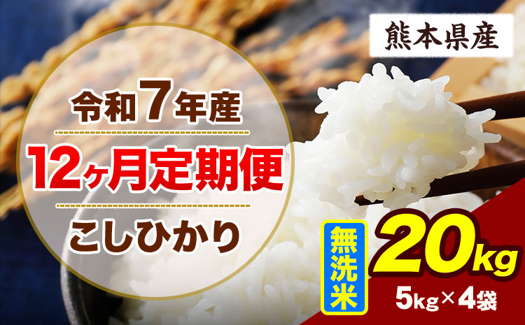 【12ヶ月定期便】令和7年産 定期便 こしひかり 20kg  無洗米 阿蘇 うぶやま 米 定期便 熊本県産 ふるさと納税 精米 ひの 米 こめ ふるさとのうぜい コシヒカリ コメ お米 おこめ《お申込み翌月から出荷》