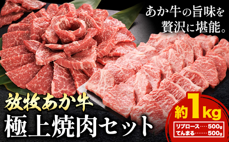 阿蘇うぶやま村の放牧あか牛極上焼肉セット1kg リブロース てんまる たっぷり BBQ 焼き肉 赤身 和牛 牛肉 牛 国産 あか牛 焼肉正 人気 ギフト 詰め合わせ 贈り物 お中元 お歳暮 贈答 熊本 阿蘇 産山村 送料無料《60日以内に出荷(土日祝除く)》【配送不可地域あり】