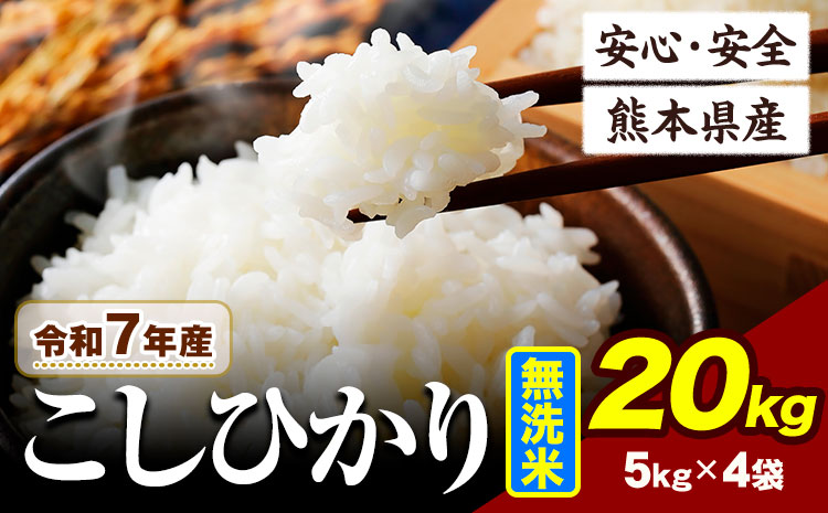 令和7年産 こしひかり 20kg 《7-14日以内に出荷予定(土日祝除く)》熊本県産 ふるさと納税 無洗米 ひの 米 こめ ふるさとのうぜい コシヒカリ コメ お米 おこめ