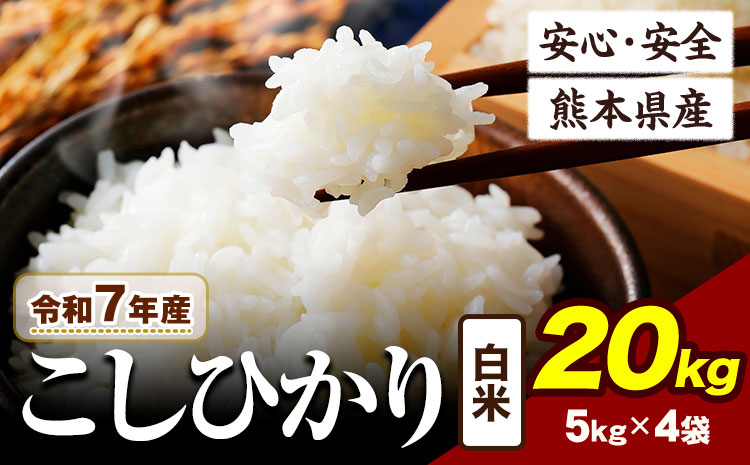 令和7年産 こしひかり 20kg 《7-14日以内に出荷予定(土日祝除く)》熊本県産 ふるさと納税 白米 精米 ひの 米 こめ ふるさとのうぜい コシヒカリ コメ お米 おこめ