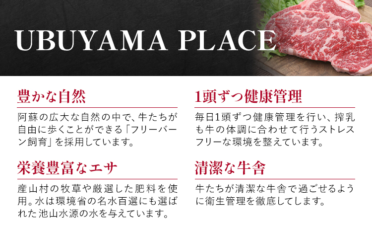 熊本県産 あか牛 焼肉 600g UBUYAMAPLACE《60日以内に出荷予定(土日祝除く)》あか牛 肉 牛肉 国産牛 ブランド牛 焼肉 小分け