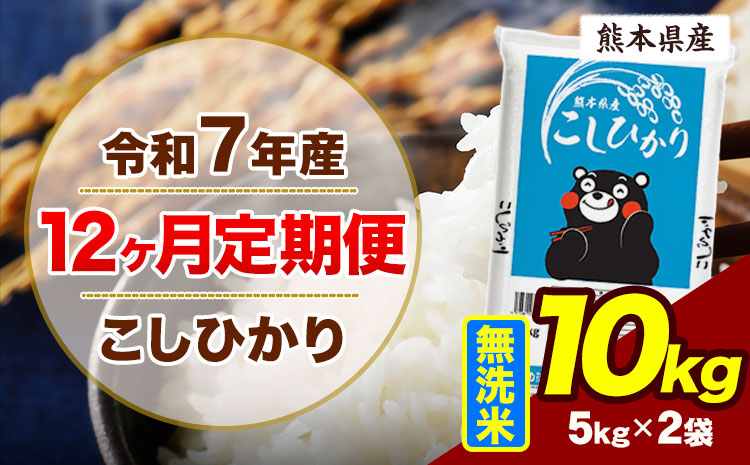 【12ヶ月定期便】令和7年産 定期便 こしひかり 10kg  無洗米 阿蘇 うぶやま 米 定期便 熊本県産 ふるさと納税 精米 ひの 米 こめ ふるさとのうぜい コシヒカリ コメ お米 おこめ《お申込み翌月から出荷》